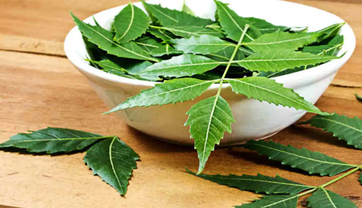 home remedies to treat scabies,scabies,skin care tips