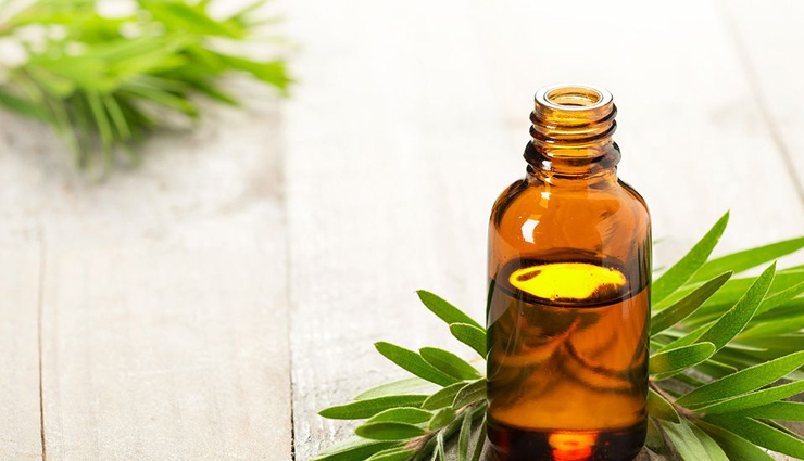 scabies,home remedies for  home remedies,Health tips,fitness tips