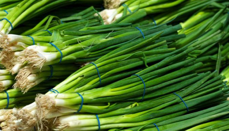 6 vitamin k rich vegetables you must eat,Health,healthy living