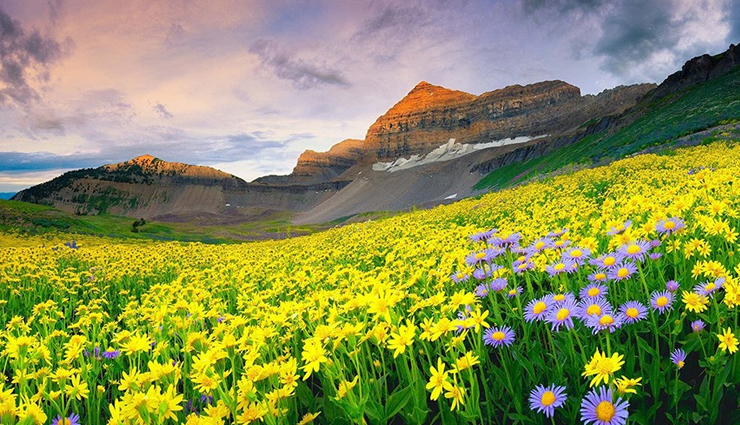 scenic places to visit in india,india,places to visit in india,hemis national park,jammu and kashmir,the islands,andaman,calangute beach,goa,khardung la,ladakh,kangchenjunga peak,sikkim,valley of flowers,uttarakhand,kerala backwaters,kerala