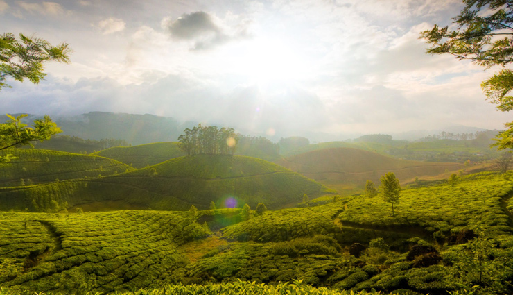 5 Most Scenic Places To Explore in Kerala