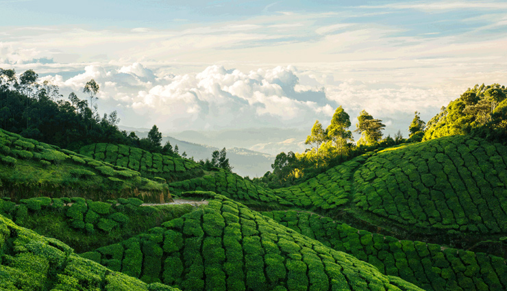 varkala beach,munnar hill station,thekkady wildlife sanctuary,silent valley national park,backwaters of alleppey,kerala,scenic places in kerala