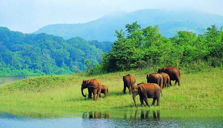 varkala beach,munnar hill station,thekkady wildlife sanctuary,silent valley national park,backwaters of alleppey,kerala,scenic places in kerala