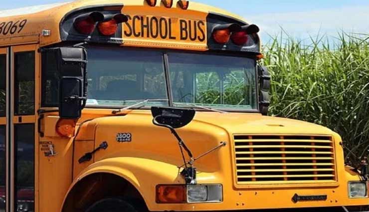 weird news,weird incident,weird school,cross international border for school