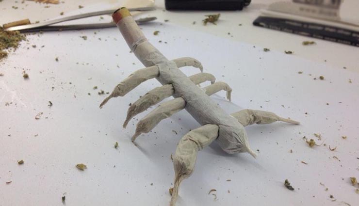 joint,triple braid joints,xxl joint,cross joint,windmill joint,scorpian joint