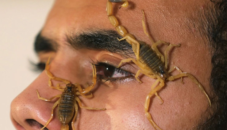 बिच्छुओं ने बनाया इस शख्स को अमीर, एक ग्राम जहर के बदले मिलते है 73 लाख रुपए