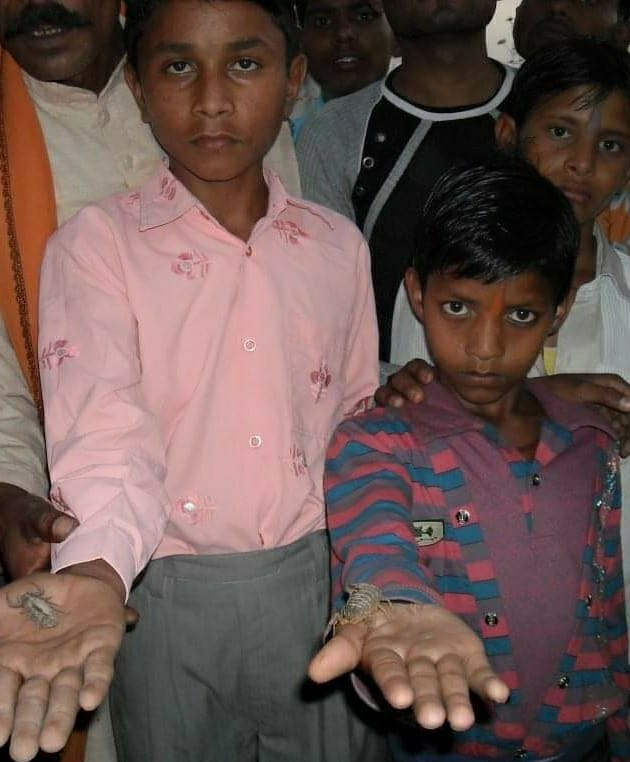 holi,holi 2021,holi celebration,scorpion,weird news