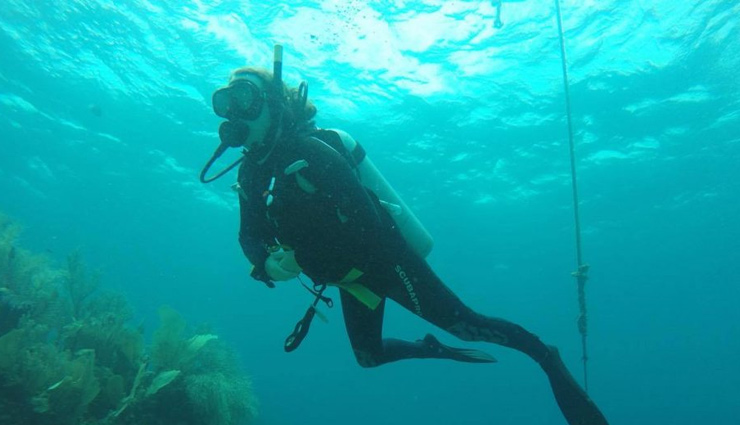 utila,north america,get a scuba-diving certificate,snorkel the reefs,swim with whale sharks,flotation tank,kayak to the cayes,travel,tourism