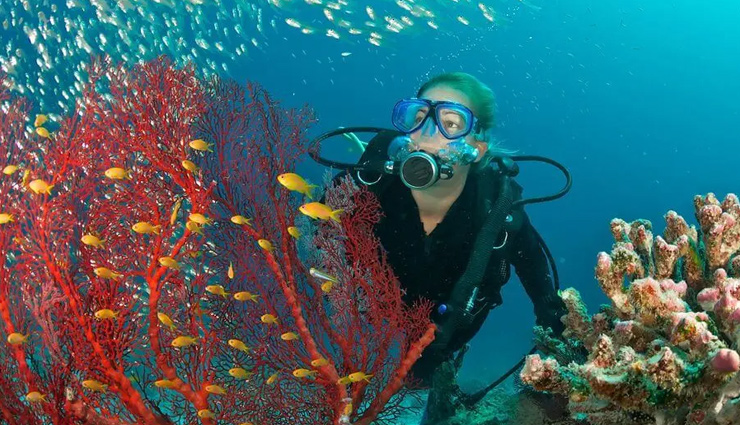 holiday,seychelles,reasons to visit seychelles,places to visit in seychelles