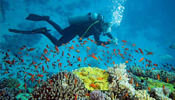 adventure lovers,places perfect for adventure lovers,india tourism,tourist places in india,skiing in auli,river rafting in rishikesh,paragliding and parasailing in goa,rock climbing in hampi,scuba diving and snorkelling in the andamans and lakshadweep,travel,holidays,travel guide