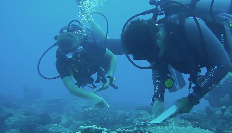 seychelles,attractions in seychelles,fishing on alphonse island,scuba diving at marianne rock,dinner on the rocks at constance lemuria,bike riding on la digue,go black parrot-spotting in the vallee de mai,meet esmeralda,the biggest tortoise in the world,visit sir selwyn selwyn-clarke market,travel,holidays,travel guide