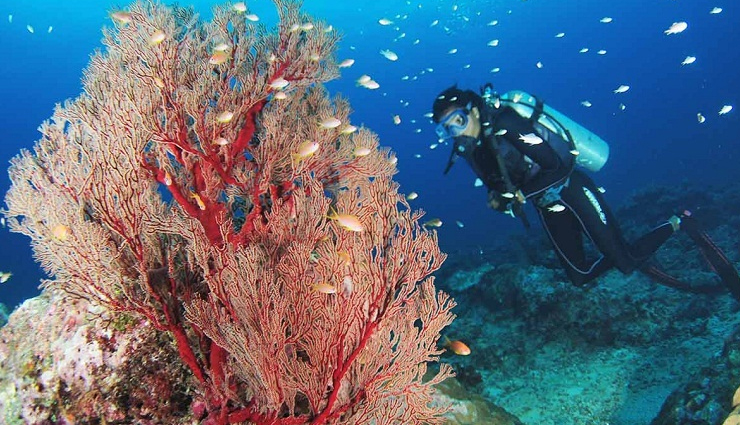 भारत के सबसे खूबसूरत पर्यटक स्थलों में से एक है लक्षद्वीप, यहां की इन जगहों पर करें एंजॉय lakshadweep,tourist destinations in lakshadweep lakshadweep tourist destinations,lakshadweep tourist places