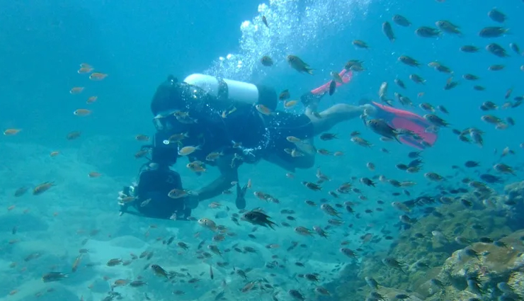 goa tourist attractions,best activities in goa,top things to do in goa,must-visit places in goa,goa travel experiences,adventure activities in goa,beach activities in goa,cultural attractions in goa,water sports in goa,nightlife in goa,goa sightseeing spots,goa beach hopping,wildlife experiences in goa,goa offbeat destinations,food and cuisine in goa