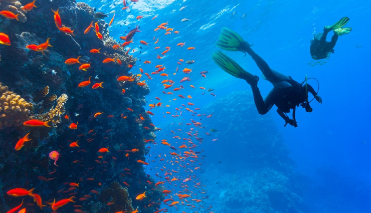 adventure sports in kochi,thrilling activities in kochi,outdoor adventures kochi,extreme sports kochi,adrenaline activities kochi,water sports kochi,land-based adventures kochi,kochi adventure tourism,kochi adventure sports guide,top adventure activities kochi,exciting things to do in kochi