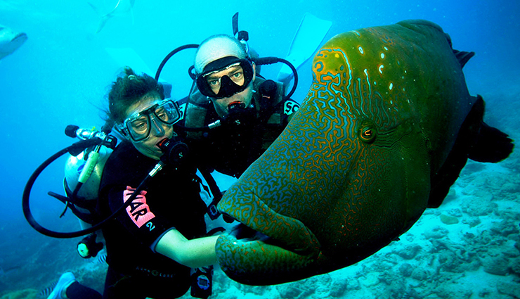 10 Amazing Destinations for Scuba Diving in Andaman