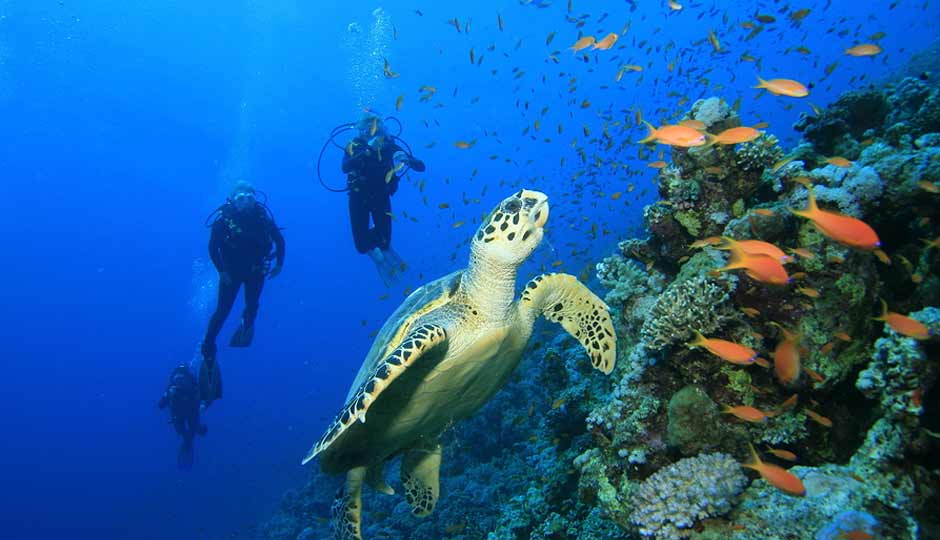 8 Places to Enjoy Scuba Diving in India