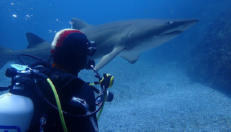 andaman scuba diving spots,best scuba diving locations in andaman,scuba diving experiences andaman,top dive sites in andaman,andaman underwater adventures,diving excursions andaman islands,andaman diving destinations,scuba diving tours andaman,explore underwater andaman,andaman diving tips