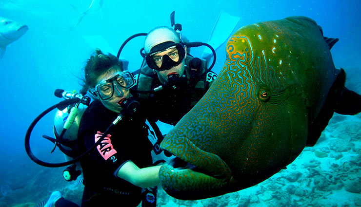 scuba diving,places for scuba diving in india,goa,pondicherry,malvan,dwarka,andaman