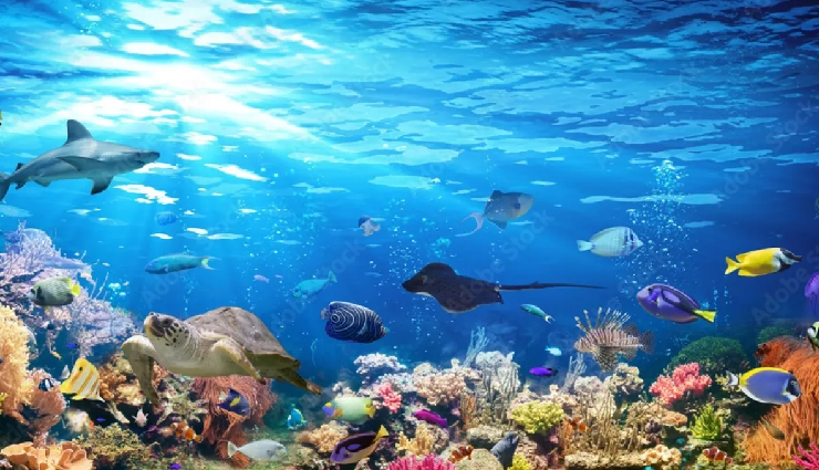 experiences in egypt,must-visit places in egypt,egypt travel experiences,egypt tourist attractions,things to do in egypt,egypt bucket list experiences,best of egypt experiences,egypt travel must-dos,iconic egypt attractions,unmissable egypt experiences,travel experiences in egypt,egypt adventure destinations,cultural experiences in egypt,egypt sightseeing attractions,exploring egypt wonders,egypt travel recommendations,egypt travel guide,egypt tourism highlights,egypt iconic landmarks,unforgettable egypt journeys,discovering egypt treasures,egypt travel must-sees,egypt exploration adventures,egypt historical marvels,unique experiences in egypt