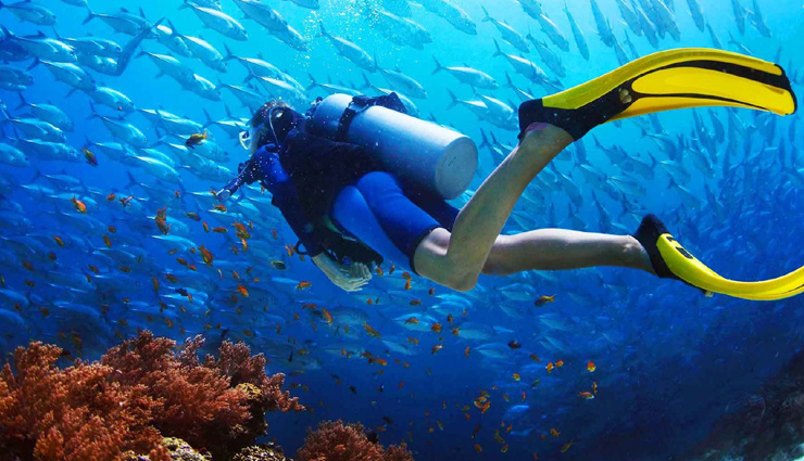 5 Best Places To Enjoy Scuba Diving in the World