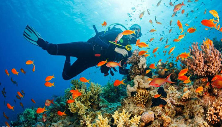 scuba diving,thailand,maldives indian ocean,bali,indonesia,oman,middle east,grand cayman,caribbean,places to enjoy scuba diving,scuba diving destinations in the world