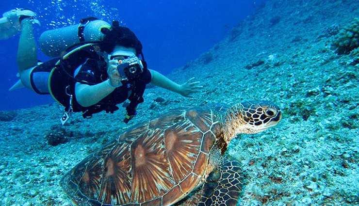 scuba diving,thailand,maldives indian ocean,bali,indonesia,oman,middle east,grand cayman,caribbean,places to enjoy scuba diving,scuba diving destinations in the world