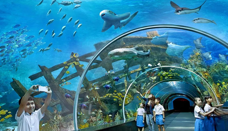 largest aquariums,worlds biggest marine exhibits,top aquarium destinations,aquatic wonders,marine life spectacles,oceanariums around the globe,giant fish tanks,underwater biodiversity,record-breaking aquariums,oceanic showcases
