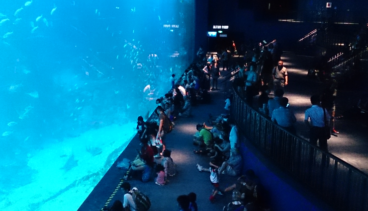 tourist places in singapore,must-visit places in singapore,top attractions in singapore,singapore travel guide,singapore sightseeing spots,things to do in singapore,best places to visit in singapore,singapore tourist spots,iconic landmarks in singapore,singapore travel itinerary,singapore must-see attractions,popular destinations in singapore,singapore travel tips,singapore exploration guide,singapore vacation spots.