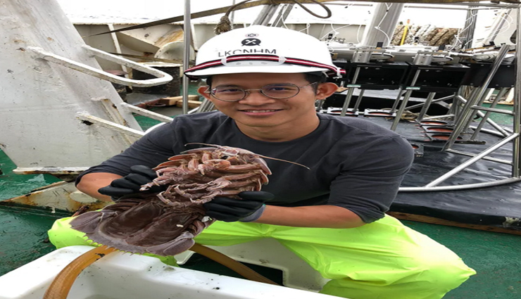 weird news,weird cockroach,weird sea cockroach,14 legges cockroach,indian ocean