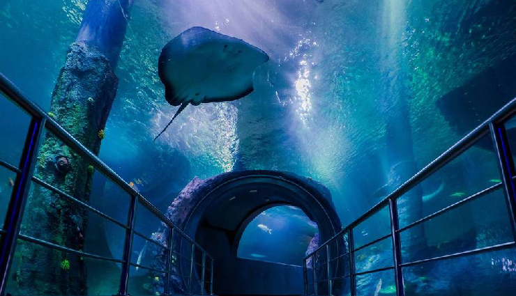 melbourne tourist attractions,best places to visit in melbourne,melbourne sightseeing spots,melbourne landmarks,things to do in melbourne,melbourne travel guide,melbourne cultural sites,melbourne royal botanic garden,docklands melbourne,yarra valley tours,melbourne shrine of remembrance,flinders street station,melbourne cricket ground tours,royal exhibition building,peninsula hot springs melbourne,sea life melbourne aquarium,st kilda beach activities,melbourne historical sites,melbourne family attractions,melbourne must-see places