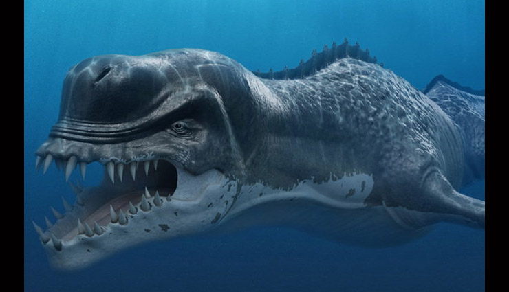 mysteries cases about oceans,unsloved cases of ocean,unsloved mysteries of ocean,facts about sea. facts about ocean