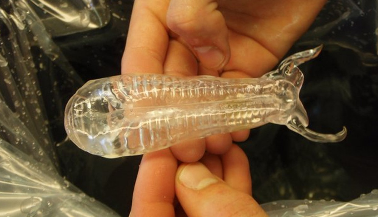 have you seen these 10 amazing transparent animals,unique animals in the world,transparent animals in the world,amazing animals in the world,must see animals in the world