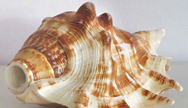 laxmi ji,maa laxmi,astrology tips,astrology,things to be kept in home