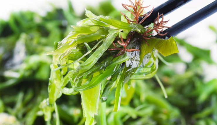 hyperthyroidism,home remedies to treat hyperthyroidism,hyperthyroidism problem,hyperthyroidism treatment,Health,Health tips