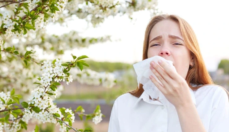 7 Must Try Remedies To Fight Seasonal Allergies