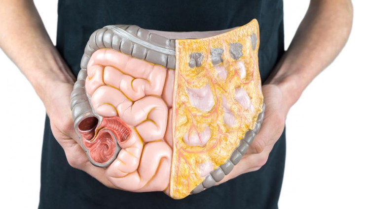 seaweed,health benefits of seaweed,Health tips,fitness tips