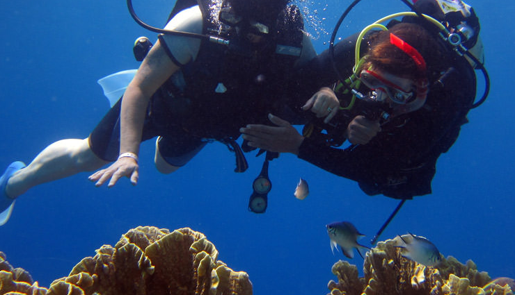 andaman scuba diving spots,best diving destinations in andaman,top andaman scuba sites,scuba diving adventures in andaman,andaman diving spots exploration,andaman scuba diving hotspots,andaman underwater experiences,andaman dive sites discovery,best places for scuba diving in andaman,andaman diving adventures