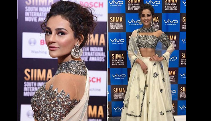 seerat kapoor,telugu actor seerat kapoor,nagarjun