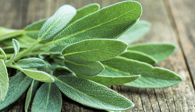 white hair naturally,home remedies to get rid of white hair naturally,white hair problem,white hair problem sollution,hair care tips,hair care,beauty,beauty tips