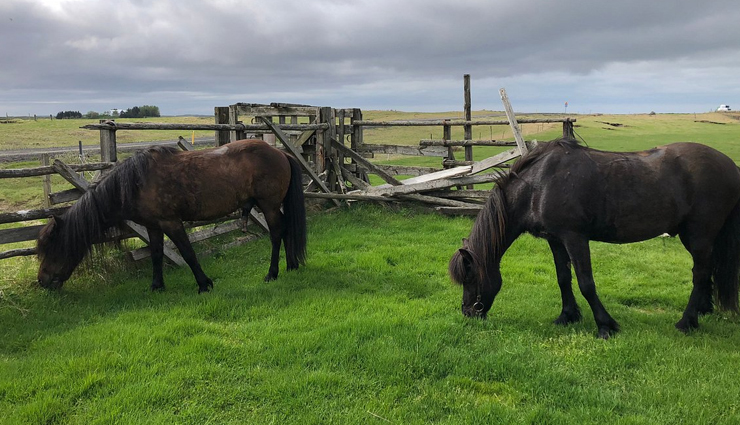 selfoss iceland attractions,things to do in selfoss,selfoss iceland activities,selfoss tourist spots,must-see places in selfoss,best of selfoss iceland,selfoss sightseeing,selfoss iceland landmarks,selfoss travel experiences,explore selfoss iceland