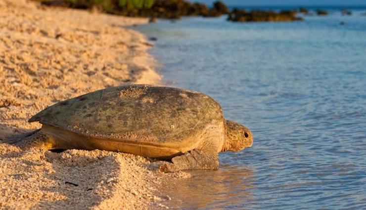 malaysia,malaysia travel,tourist places in malaysia,malaysia memorable,travel,holidays,travel guide