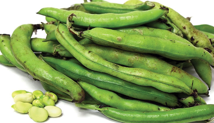 ekadashi,food items,astrology,astrology tips