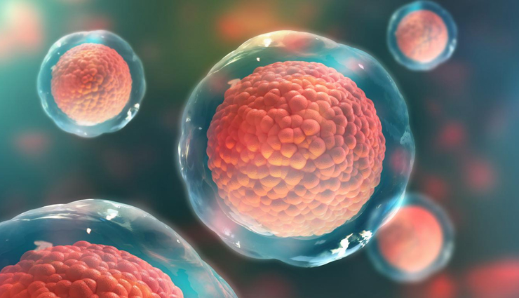 health benefits of sencha tea,sencha tea,Health tips,fitness tips