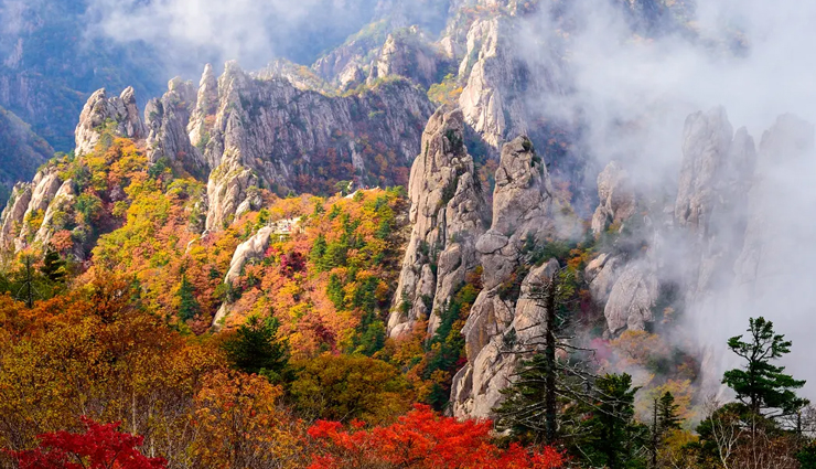 south korea travel activities,things to do in south korea,best experiences in south korea,enjoyable activities in south korea,must-try attractions in south korea,south korea tourist destinations,south korea travel recommendations,top things to experience in south korea,south korea sightseeing highlights,south korea adventure activities