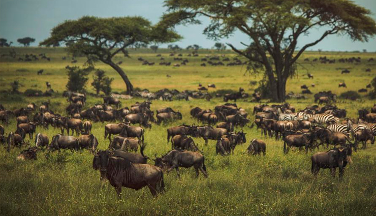 beautiful places to visit in africa,africa travel,travel guide,travel tips,holidays,tourism