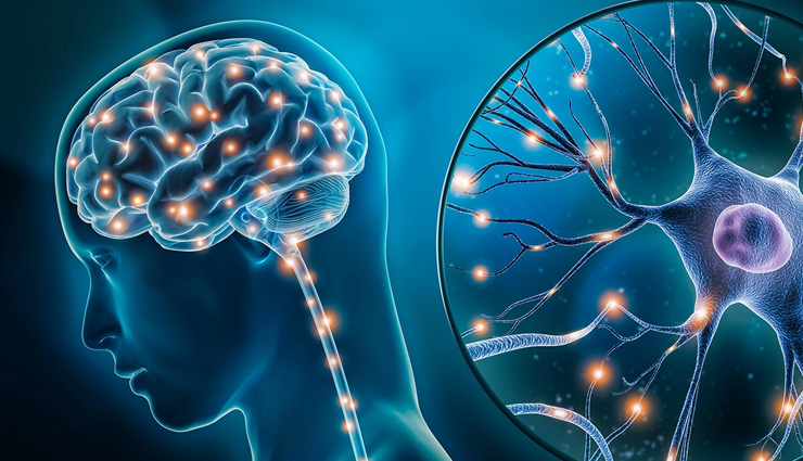 serotonin syndrome,serotonin toxicity,serotonin syndrome causes,serotonin syndrome symptoms,serotonin syndrome treatment,excess serotonin,serotonergic drugs,serotonin syndrome prevention,serotonin syndrome diagnosis,serotonin overload,serotonin syndrome medications,ssri overdose,serotonin syndrome management,serotonin syndrome risk factors,serotonin syndrome emergency