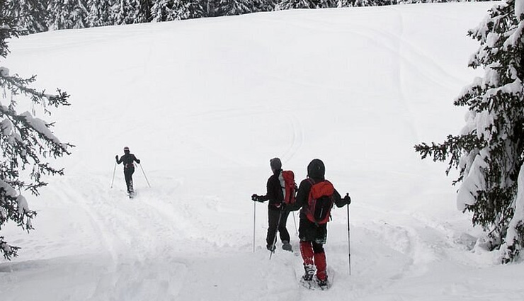 skiing in himachal pradesh,top skiing places himachal,kufri skiing,narkanda ski destination,solang valley skiing,skiing near manali,heli-skiing mount deo tibba,chanderkhani pass skiing,hanuman tibba skiing,rohtang pass skiing,mahasu ridge skiing,fagu skiing himachal,sethan skiing,best ski resorts himachal,himachal skiing destinations,skiing trips himachal pradesh,winter sports himachal pradesh,skiing adventure himachal,ski slopes himachal pradesh