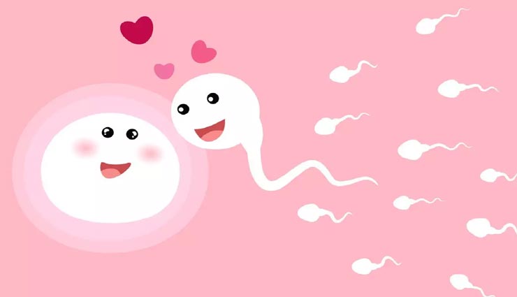 पुरुषों के सेक्स हार्मोन टेस्टोस्टेरोन को बढ़ाएगी ये स्मूदी