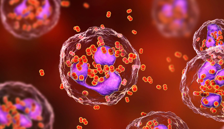 pregnancy discharge,white discharge during pregnancy,vaginal discharge in pregnancy,normal discharge during pregnancy,types of discharge during pregnancy,early pregnancy discharge,abnormal pregnancy discharge,white milky discharge during pregnancy,causes of white discharge during pregnancy,how to manage white discharge during pregnancy,when to see a doctor for pregnancy discharge,third trimester white discharge,preventing infection with pregnancy discharge,coping with pregnancy discharge,understanding pregnancy discharge