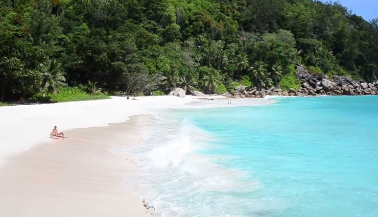 seychelles,attractions in seychelles,must visit places in seychelles,anse georgette,curieuse island,bird island,the jellyfish tree,aldabra atoll,fond ferdinand